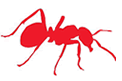 Ants Ants