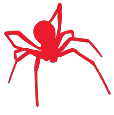 Spider Spider